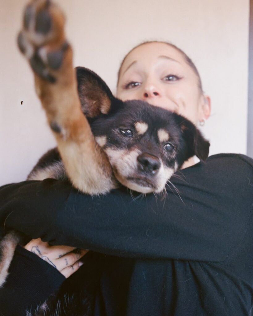 Ariana Grande żegna ukochaną suczkę Coco