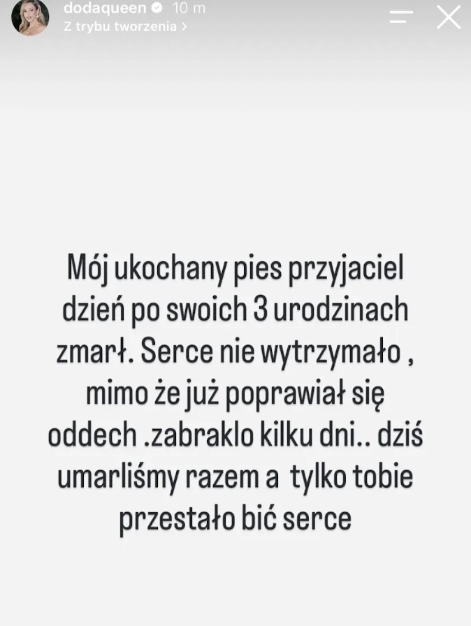 Zmarł pies Dody